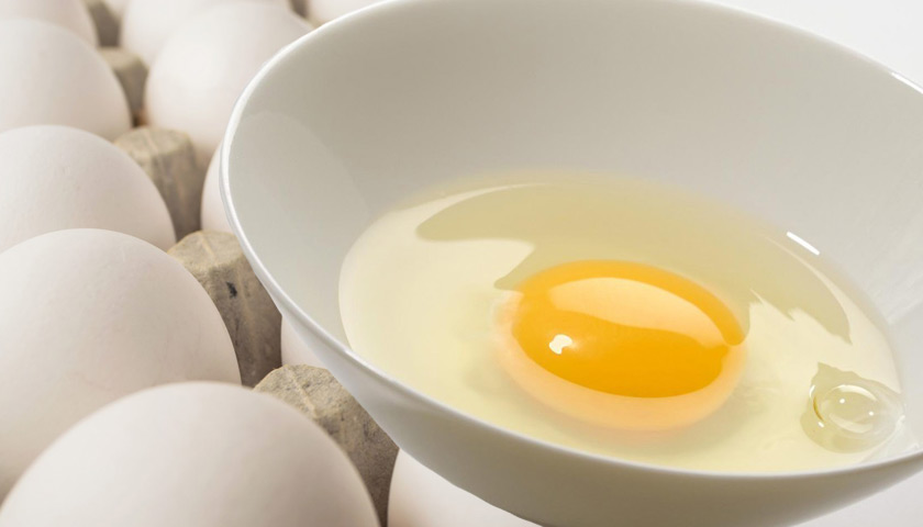 cara menghilangkan komedo dengan putih telur