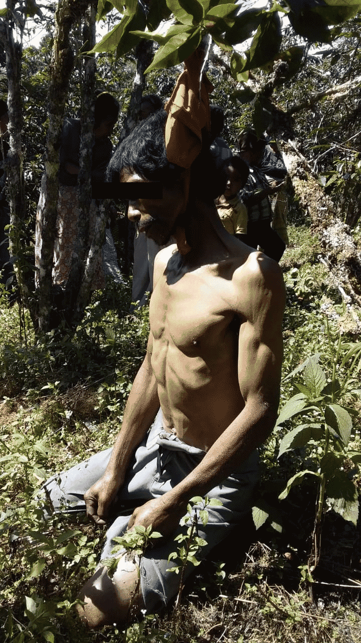 gantung diri di pohon