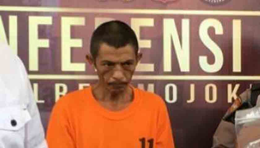 ayah perkosa anak