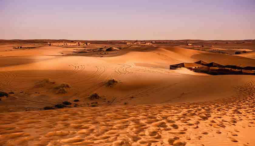 reli dakar