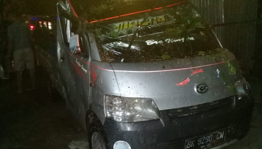 pohon tumbang