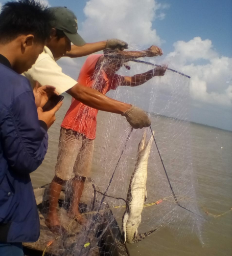 Niat jaring ikan2