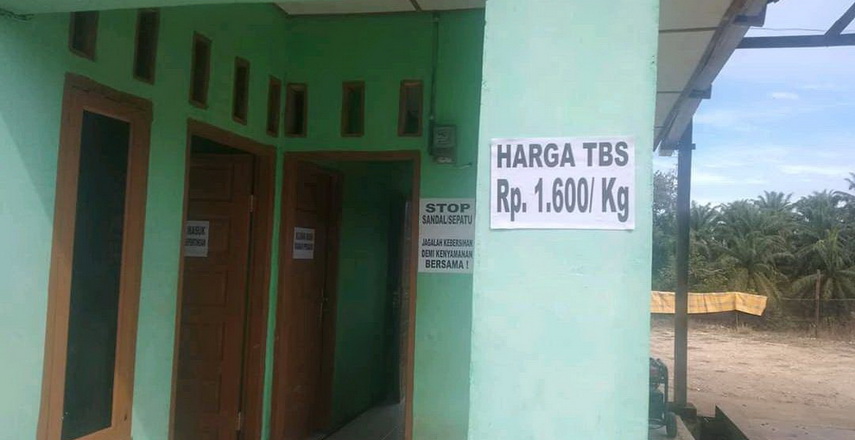 harga sawit Aceh Singkil