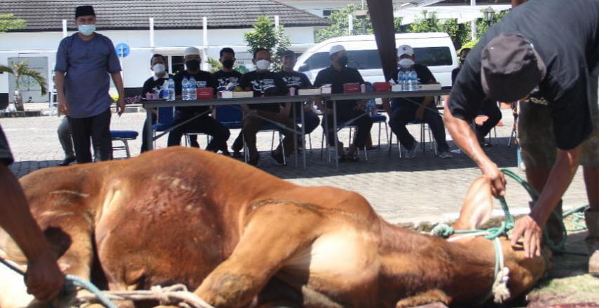 Kejati Sumut Salurkan 9 Sapi dan 2 Kambing
