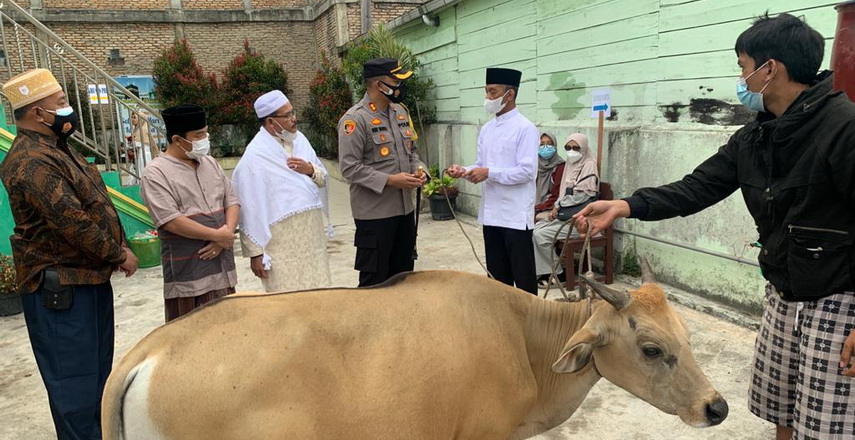 Kapolda Sumut Irjen Pol Drs RZ Panca Putra S MSi serahkan satu ekor hewan qurban kepada tokoh agama Kabupaten Humbahas