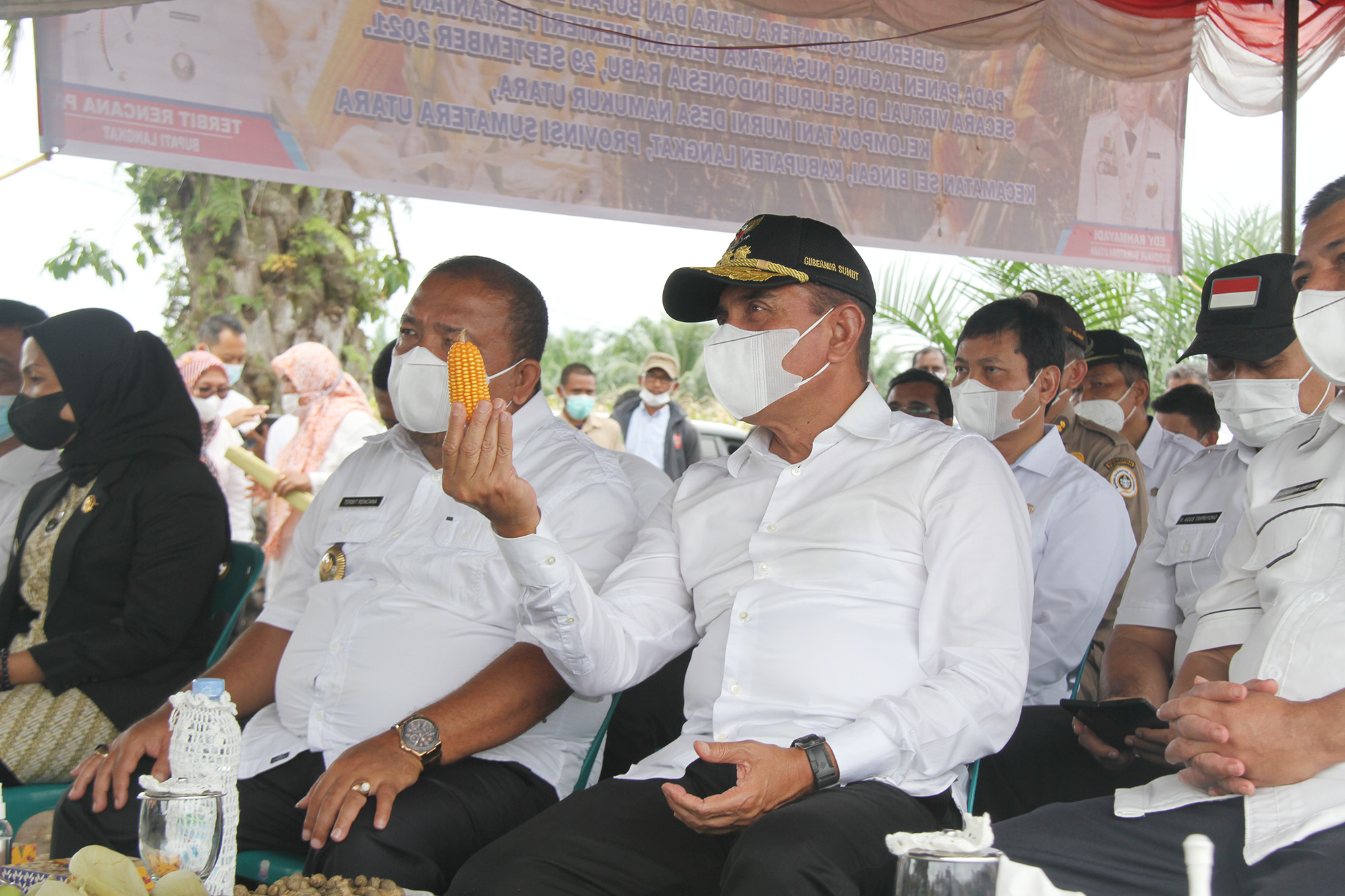 Gubernur Edy Rahmayadi Ingin Terus Pacu Produksi Jagung Sumut