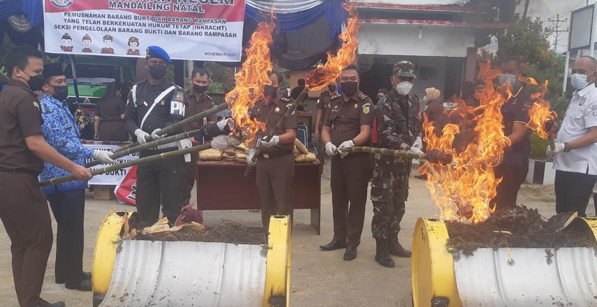 Kejari Madina Musnahkan Barang Bukti Narkotika, Sajam, dan Senpi