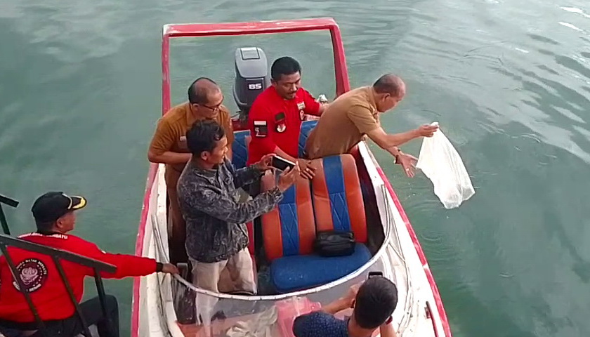 Pemuda Batak Bersatu (PBB) Kabupaten Samosir melaksanakan 'restocking' (tabur benih) Ikan Mujair ke Perairan Danau Toba di Dermaga Jetty Samosir, Desa Situngkir Selasa (14/6/2022).