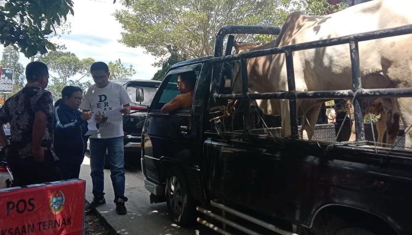 sehubungan dengan perayaan Hari Raya Kurban/Idul Adha 1443 H, Pemkab Samosir melalui Dinas Ketahanan Pangan dan Pertanian melaksanakan pemeriksaan lalu lintas ternak