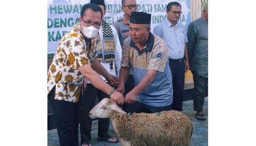 Dalam rangka menyambut Perayaan Idul 2022 (10 Dzulhijjah 1443 H), Pemkab (Pemerintah Kabupaten) Samosir menyerahkan hewan kurban kepada BKM se-Kabupaten Samosir.