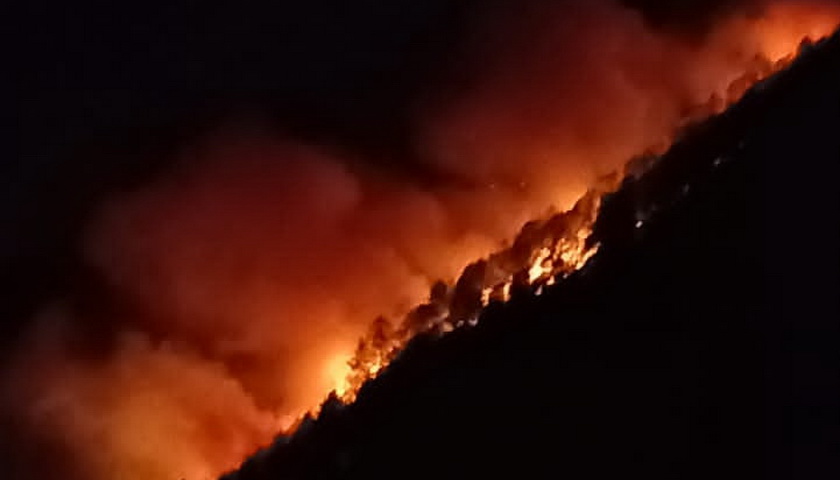 Kebakaran hutan dan lahan (karhutlah) di Dusun Buntu Raha Desa Sitanggor, Kecamatan Muara, Tapanuli Utara, Sabtu (16/7/2022), sekira pukul 14.00 WIB, mengakibatkan satu orang meninggal dunia.