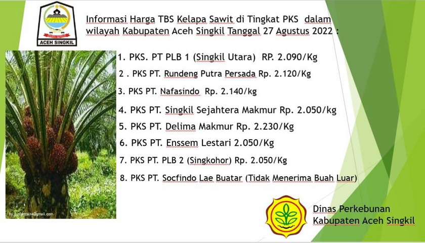 Para petani sawit di Aceh Singkil kini dapat kembali tersenyum. Akhirnya harga TBS pelan tapi pasti mulai naik tertinggi Rp2.230 per kilo
