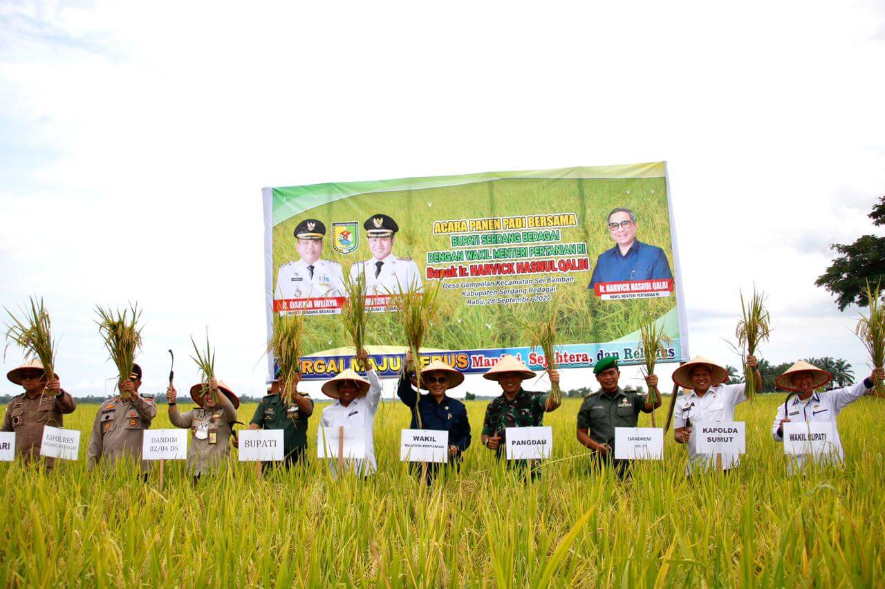 Wamen Pertanian Kunjungi Sergai, Bupati: Kami Targetkan Jadi Lumbung Padi Nomor 1 Provinsi