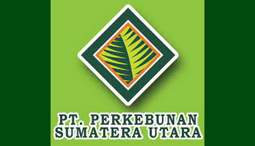 Seleksi pemilihan calon Direktur PT Perkebunan Sumatera Utara (Perseroda), tengah berlangsung saat ini. Sebanyak 4 calon bersaing untuk menempati posisi direktur tersebut.