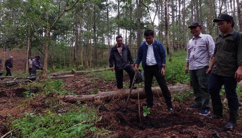 Relawan Kelompok Tani Hutan (KTH) Kabupaten Simalungun Provinsi Sumatera Utara, dalam edukasi peduli lingkungan mengajak masyarakat untuk melakukan pembibitan dan penanaman pohon pinus maupun tanaman produktif pada lahan terbuka di kawasan hutan Danau Toba