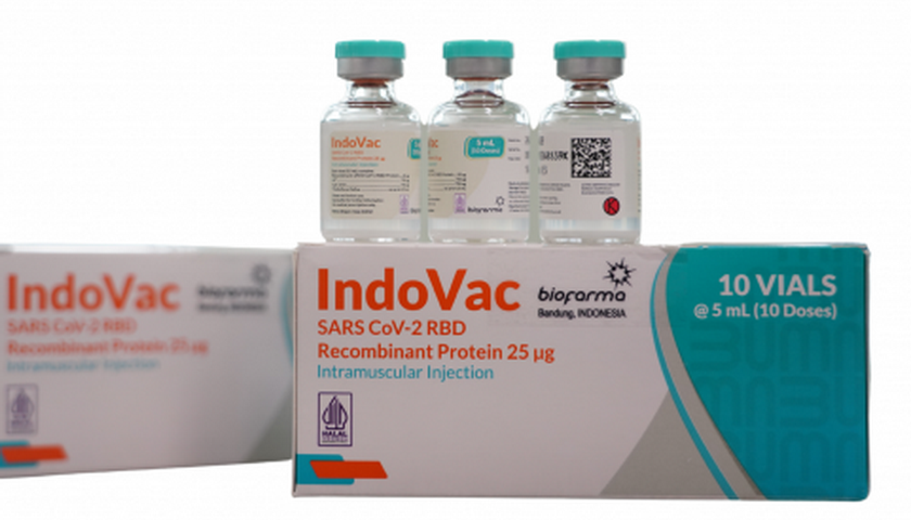 PT Bio Farma dinilai berkontribusi besar dalam diplomasi dan pemulihan kesehatan global. Salah satunya dengan peluncuran Vaksin Covid-19 IndoVac.