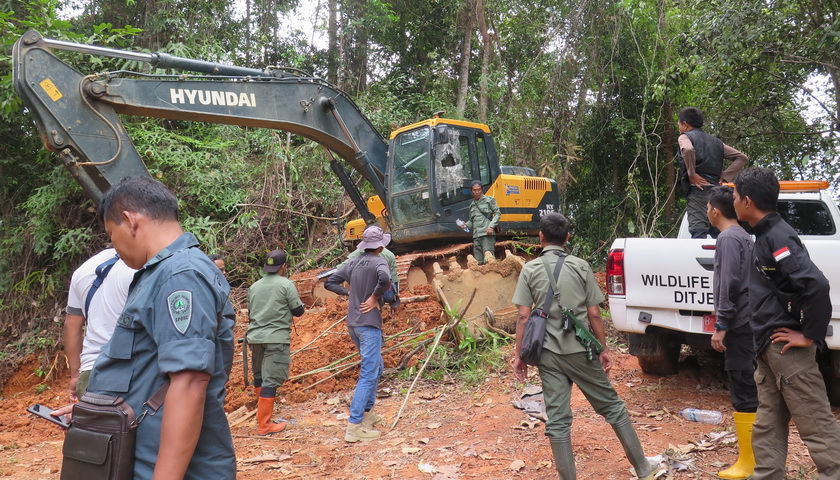 Penyidik Balai Penegakan Hukum Kementrian Lingkungan Hidup dan Kehutanan (Gakkum KLHK) Wilayah Sumatera melakukan penahanan terhadap MSN (37) yang merupakan salah satu aktor intelektual (pemodal) penambangan emas ilegal di Kawasan Taman Nasional Batang Gadis (TNBG).