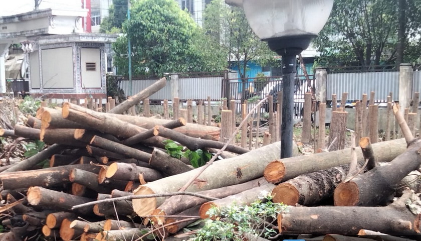 Pohon yang tumbuh di halaman depan Rumah Sakit Umum Daerah (RSUD) dr Djasamen Saragih Pematang Siantar di Jalan Sutomo, ditebangi.