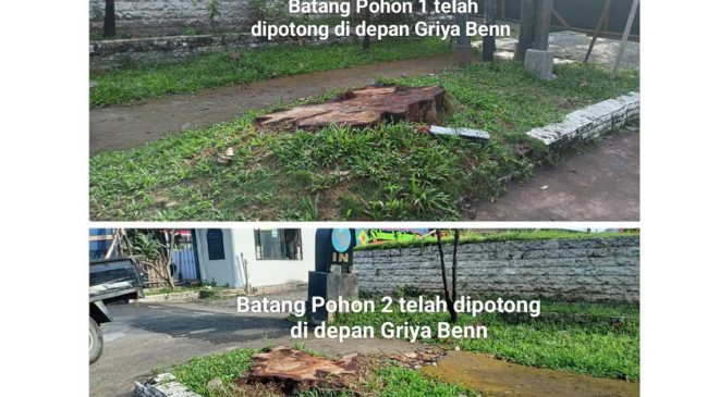 Anggota Komisi 4 DPRD Medan, Edwin Sugesti Nasution, Selasa (30/5/2023), kembali mempertanyakan penebangan pohon di pinggir jalan di Kota Medan kian marak. Salah satu contoh di wilayah Kecamatan Medan Helvetia.