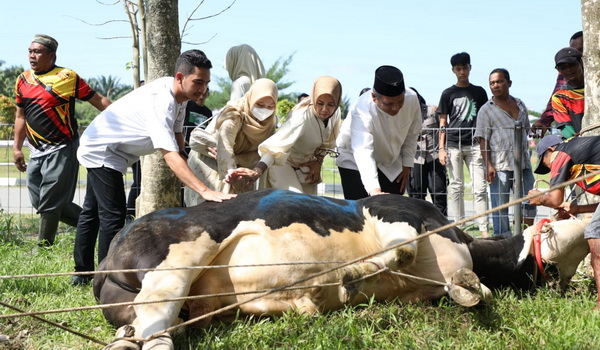 Polda Sumut menyalurkan sebanyak 70 ekor hewan kurban untuk masyarakat pada momentum Hari Raya Idul Adha 1444 Hijriah, Kamis (29/6/2023).