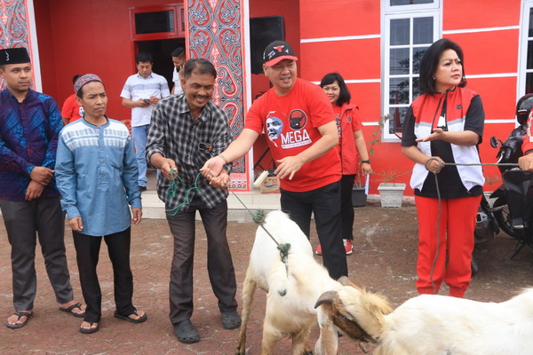 DPC PDI Perjuangan Taput menyerahkan bantuan hewan kurban (kambing) sebanyak 15 ekor ke sejumlah mesjid yang ada di Kabupaten Tapanuli Utara.