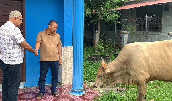 Ketua Persatuan Wartawan Indonesia (PWI) Lhoseumawe Sayuti Achmad bersama Ketua Ikatan Keluarga Wartawan Indonesia (IKWI) Lhokseumawe Widia Ratna Nasution menyerahkan satu ekor sapi qurban, Sabtu (1/7/2023).