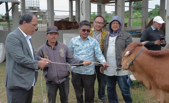 Bupati Humbahas Dosmar Banjarnahor SE didampingi Kadis Peternakan dan Perikanan Parman Lumbangaol, menyerahkan 56 ekor ternak sapi kepada masyarakat melalui kelompok tani, Jumat (14/7/2023), di Desa Siponjot Kecamatan Lintongnihuta.