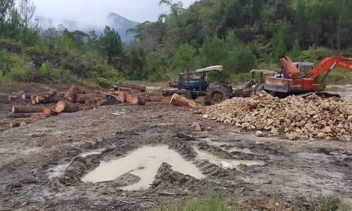 Aktivitas penebangan Pinus telah mengobok-obok lahan dan hutan di sekitar Kenegerian Siualuoppu, Simaungmaung, dan Sitakka. Merusak ekosistem dan berpotensi menjadi ancaman banjir bandang.