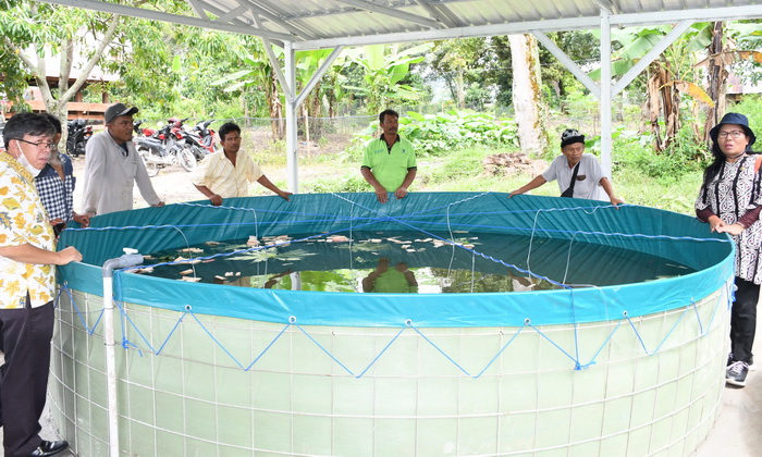 Pemkab Samosir melalui Dinas Ketahanan Pangan dan Pertanian memberdayakan petani ikan untuk budidaya ikan sistim bioflok.