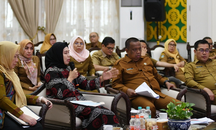 Pj Ketua Dewan Kerajinan Nasional Daerah (Dekranasda) Sumut Dessy Hassanudin menginginkan Usaha Kecil Menengah (UKM) di Provinsi Sumatera Utara 'naik kelas'