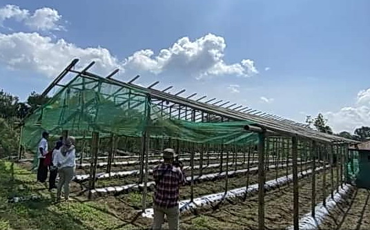 Plt Asisten Administrasi dan Pembangunan Sahat Parulian Boangmanalu SPd MM atas nama Bupati Pakpak Bharat memimpin pelaksanaan Sosialisasi Horticulture Development in Dryland Areas Sector Project (hortikultura lahan kering).