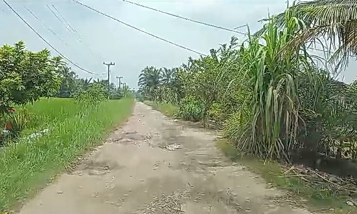 Tokoh masyarakat Desa Sei Rejo Kecamatan Sei Rampah, Kabupaten Serdang Bedagai Warianto mengaku kecewa dengan pemerintah daerah yang tidak melakukan perbaikan jalan yang sudah tahunan mengalami rusak.