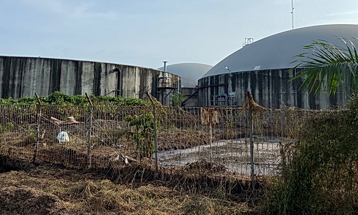 Komunitas Pemuda Peduli Lingkungan Batu Bara (KOPPLING) menguak tentang kebocoran limbah milik PT Sei Balai Green Energy (PT SBGE) yang meluap hingga mencemari sekitar areal persawahan milik petani di Kecamatan Sei Balai Batubara, Sumut.