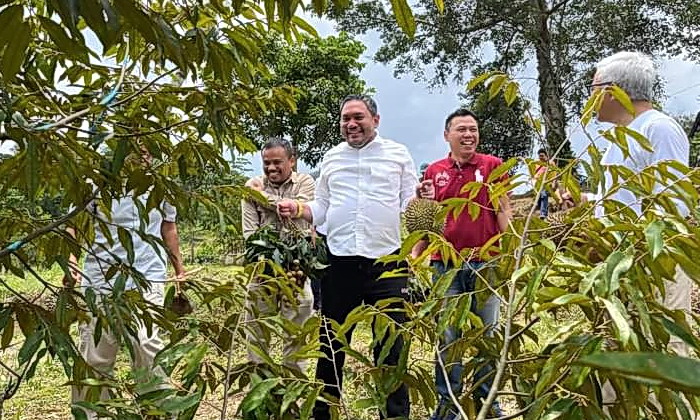 Bupati Pakpak Bharat Franc Bernhard Tumanggor berkesempatan mengunjungi kebun durian milik Ir Al Hilal Hamdi, Selasa (26/3/2024).
