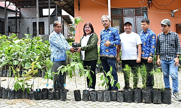 Dinas Lingkungan Hidup dan Kehutanan Provsu melalui KPH Wilayah XIII Doloksanggul, memberikan bantuan ribuan bibit tanaman program penghijauan lingkungan sebagai penyangga lahan rawan longsor kepada BPBD Kabupaten Samosir.
