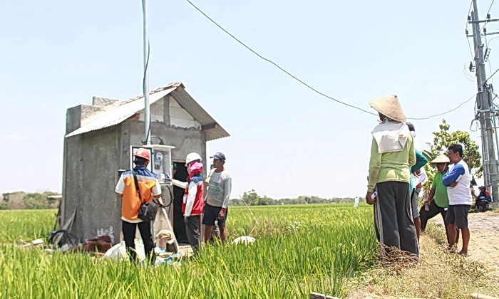 Program 'Electrifying Agriculture' (EA) dari PT PLN (Persero) menunjukkan kinerja mentereng sepanjang tahun 2024