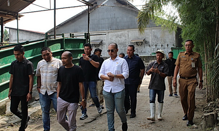 Guna menindaklanjuti aduan yang diterima Komisi D DPRD Langkat terhadap indikasi adanya aktifitas pembuangan limbah ke sungai oleh PT Lembu Andalas Langkat yang berada di Desa Ara Condong Kecamatan Stabat, sejumlah pimpinan dan anggota Komisi D langsung bergerak melakukan peninjauan ke lokasi, Selasa (25/2/2025).
