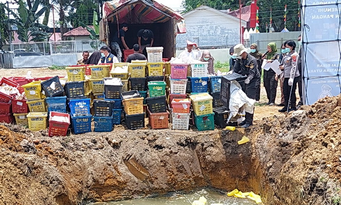 Polda Sumatera Utara melalui Unit 4 Subdit I/Indag Dit Reskrimsus berhasil mengamankan sebuah truk Cold Diesel yang membawa sekitar 4 ton buah mangga asal Thailand yang tidak memenuhi standar karantina dan keamanan pangan, Sabtu malam (22/3/2025)