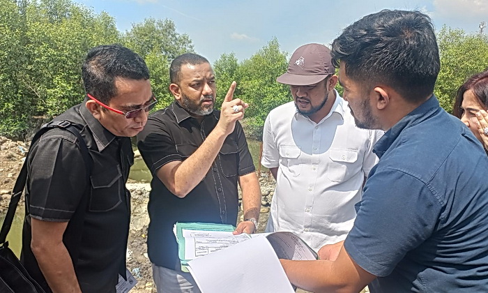 Kawasan hutan mangrove di Jalan PLTU, Kelurahan Belawan Sicanang, Kecamatan Medan Belawan, diduga ditimbun untuk pembangunan pabrik atau gudang oleh PT Canang Palma Indonesia (CPI). Dugaan ini mengundang reaksi keras dari Wakil Ketua DPRD Medan Hadi Suhendra.