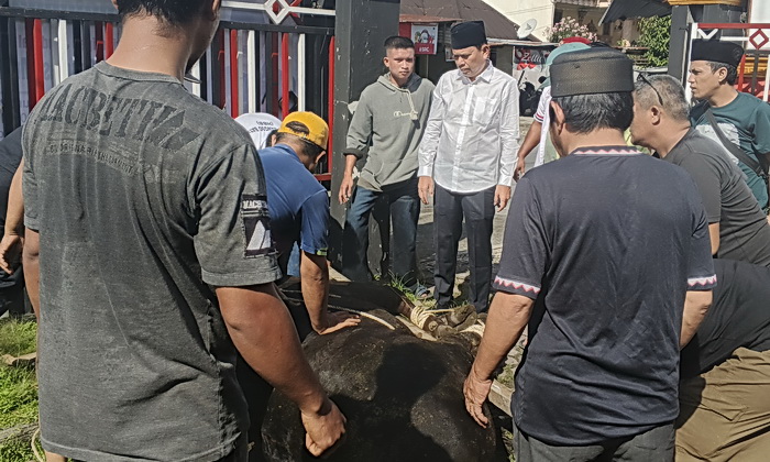 HBB di bawah pimpinan ketua umumnya, Lamsiang Sitompul SH MH, ternyata sedang menggelar pelaksanaan qurban, dalam rangka Idul Adha 1446 H.