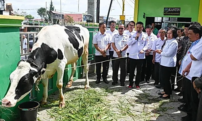 Bupati Humbahas Dr Oloan P Nababan menerima bantuan satu ekor sapi kurban dari Gubernur Sumatera Utara Bobby Nasution, di Mesjid Raya Doloksanggul, Rabu (4/6/2025).