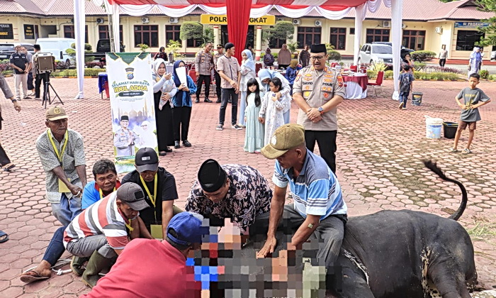 Kapolres Langkat AKBP David Triyo Prasojo SH SIK MSi menyerahkan 12 ekor sapi dan 5 ekor Kambing qurban kepada panitia pemotongan hewan qurban Polres Langkat
