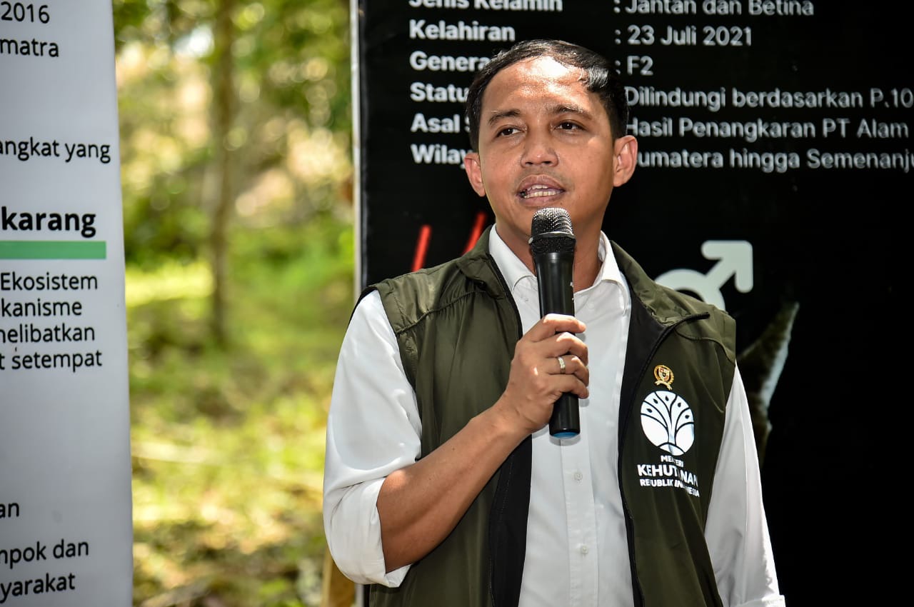 kemenhut menyoroti sejumlah kebijakan gubernur