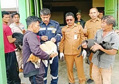 Pemerintah Kabupaten Humbahas melalui Dinas Peternakan dan Perikanan melaksanakan vaksinasi HPR (Hewan Penyebar Rabies) di Desa Tapian Nauli dan di Desa Siponjot Kecamatan Lintongnihuta, Selasa (8/7/2025).