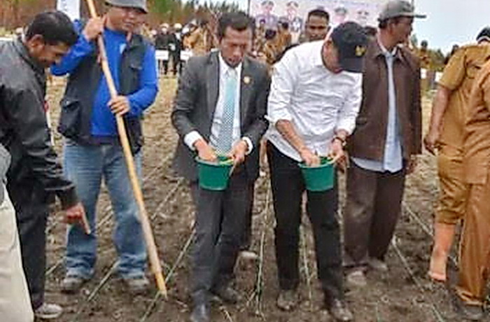 Bupati Humbahas Dr Oloan P Nababan bersama Forkopimda melakukan penanaman Padi Gogo di lahan pertanian kelompok tani di Desa Parsingguran II Kecamatan Pollung, Senin (4/8/2025).