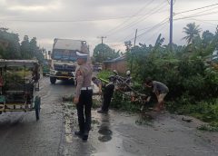Dedikasi Sat Lantas Polres Sergai : Tuai Pujian Usai Bersihkan Pohon Tumbang di Jalinsum