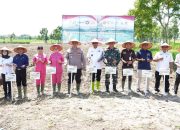 Bupati Syah Afandin Dukung Penanaman Jagung Serentak Kuartal IV untuk Perkuat Ketahanan Pangan Langkat