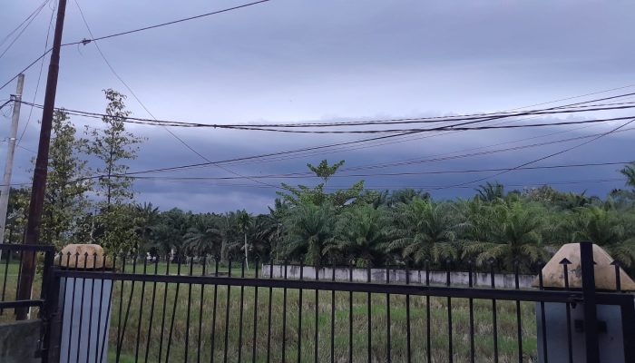 cuaca hari ini