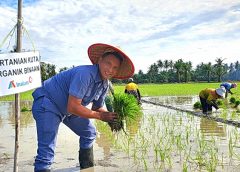 Inalum Dorong Pertanian Berkelanjutan di Batubara Lewat Metode Tani Nusantara