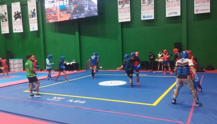 tim wushu sumut pon bela diri